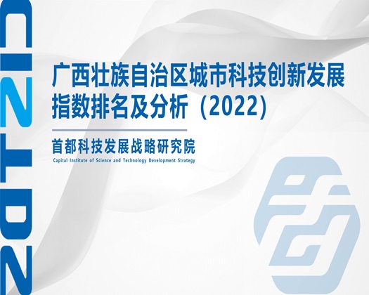 欧美女人日屄【成果发布】广西壮族自治区城市科技创新发展指数排名及分析（2022）